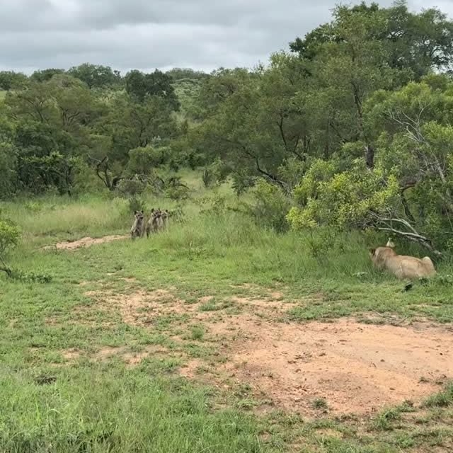 Post by natureismetal