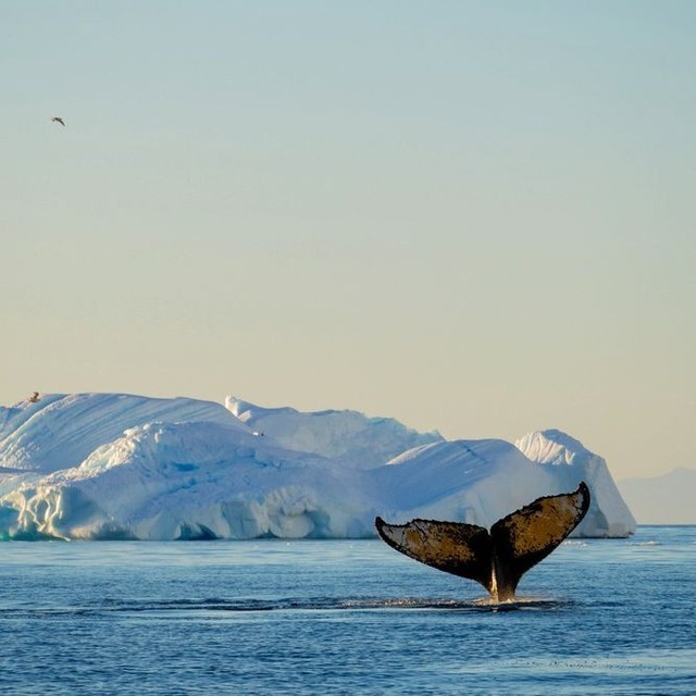 Post by ultimatetravelco