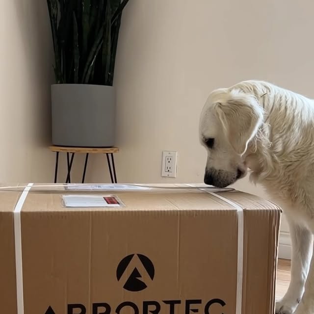 Post by benoftheforest