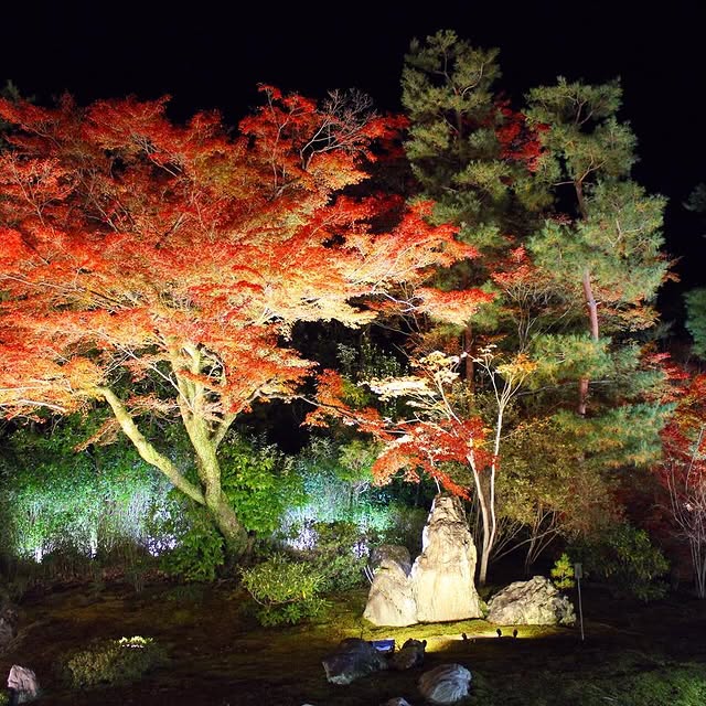 Post by japan_life365