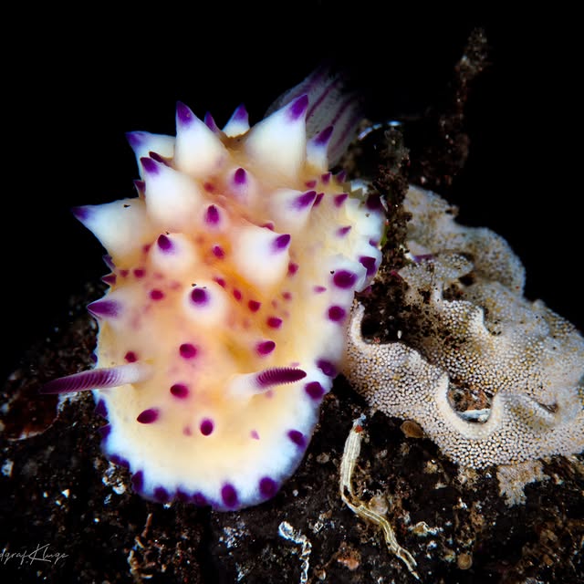 Post by kathrin_underwater