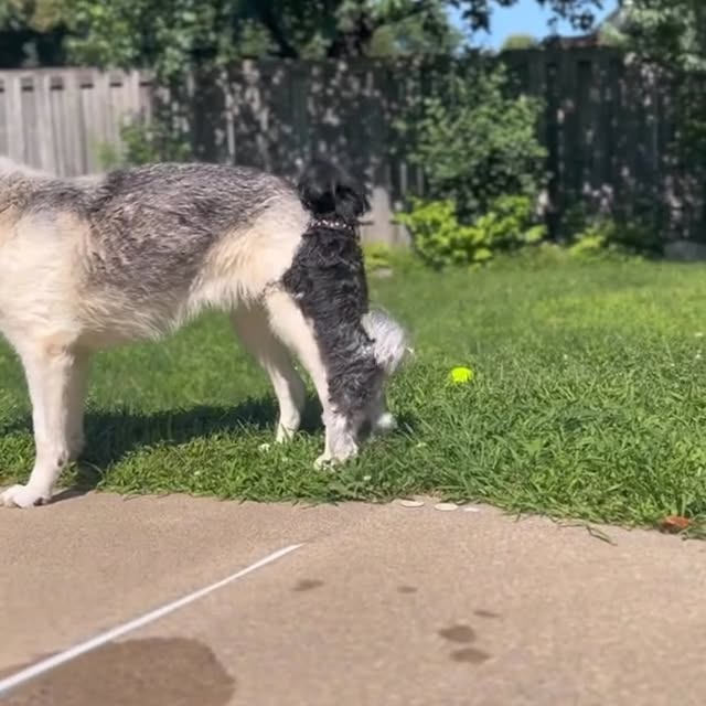 Post by soyrockoficial1