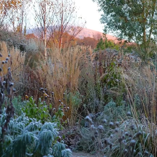 Post by patthana_garden