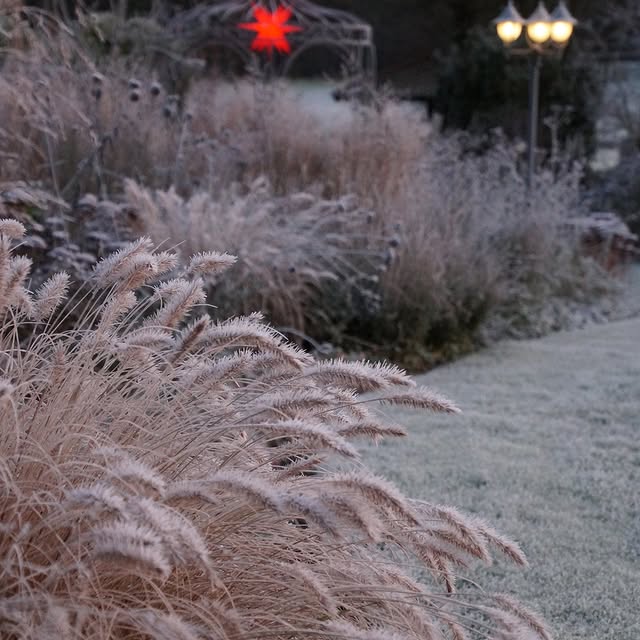 Post by garten_und_hof