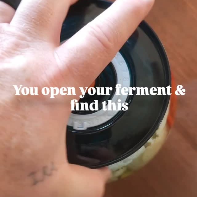 Post by theealyhomestead