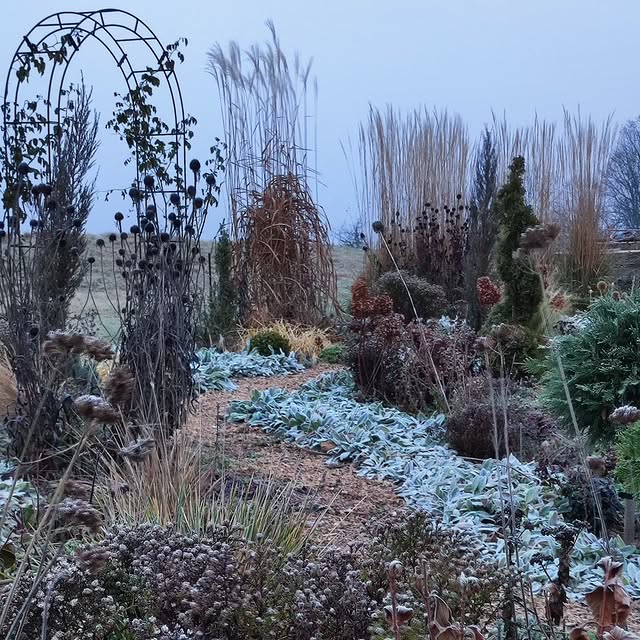 Post by gartenheidisuess