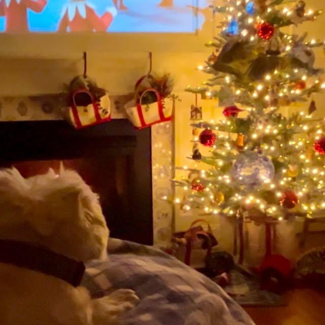 Post by houseandgardendog