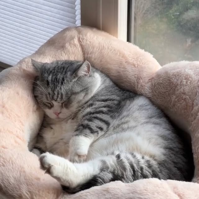 Post by landyliu0610