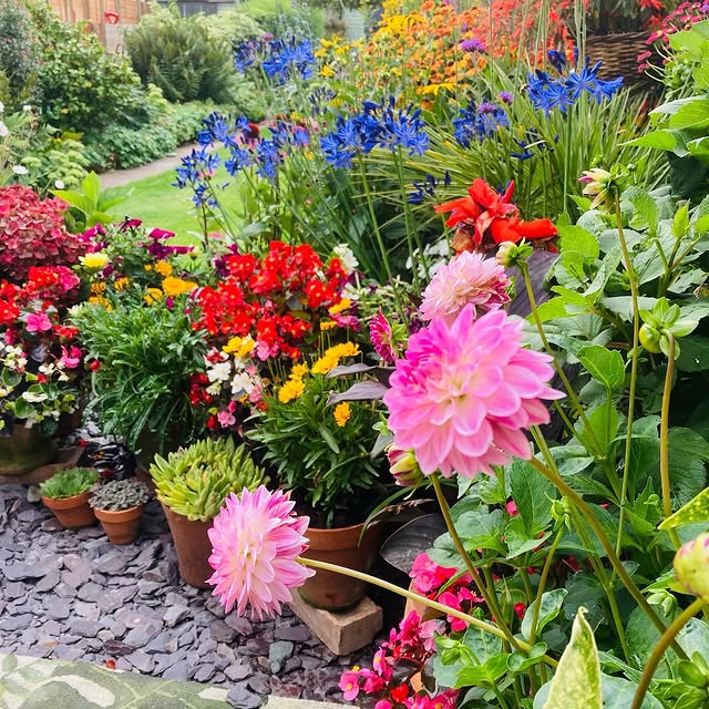 Post by bibbys_home_and_garden