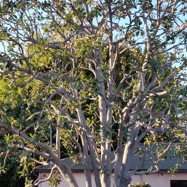 Post by banueloslandscaping