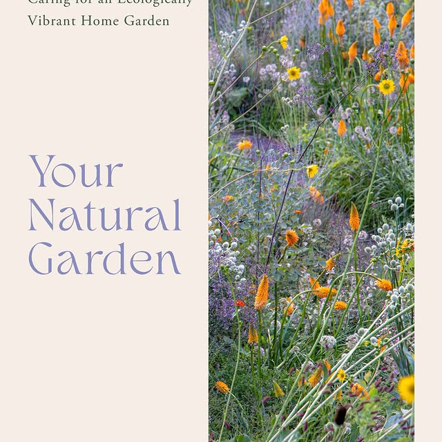 Post by kellydnorris