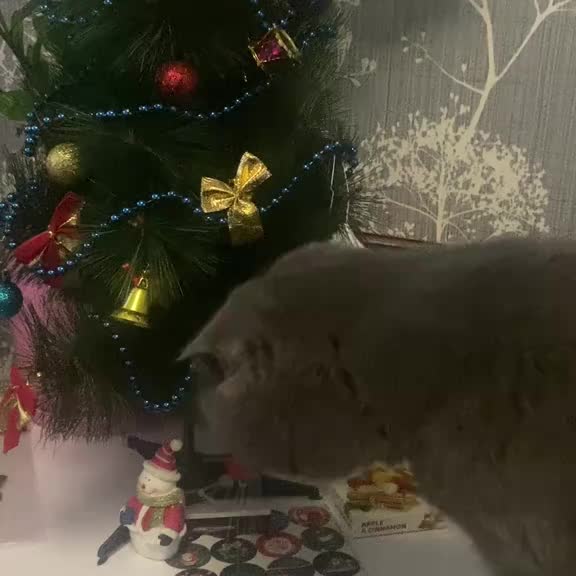 Post by animals_humor_ua