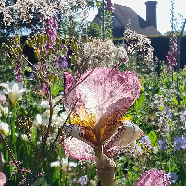 Post by troyscottsmith1