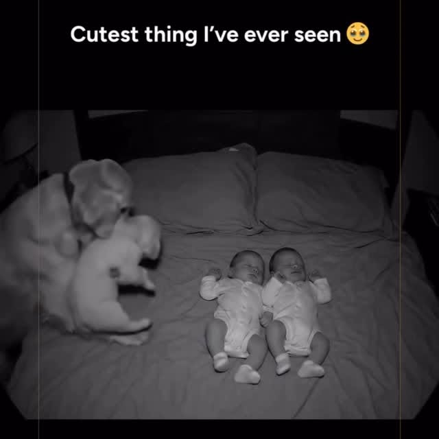 Post by thebillionairesclub