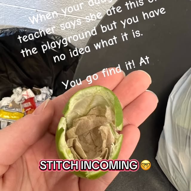 Post by blackforager