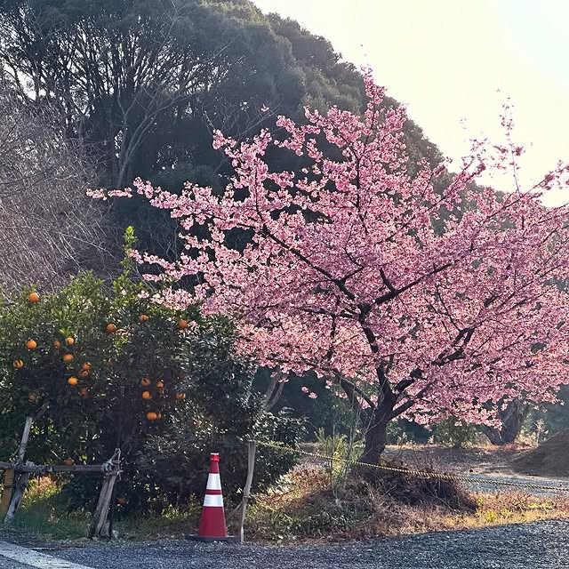 Post by shun.naka_liberty.club