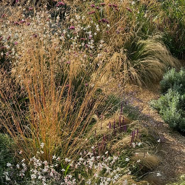 Post by tomhowardgardens