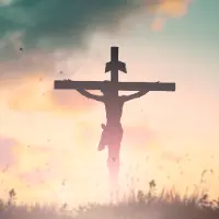 Thevoiceof1cryingontheinternet's profile picture