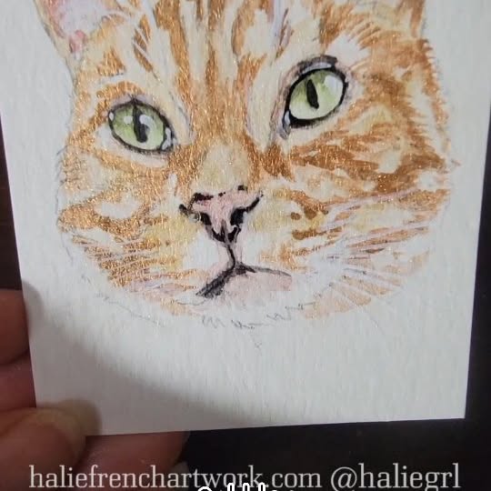 Post by cobblerkittycat