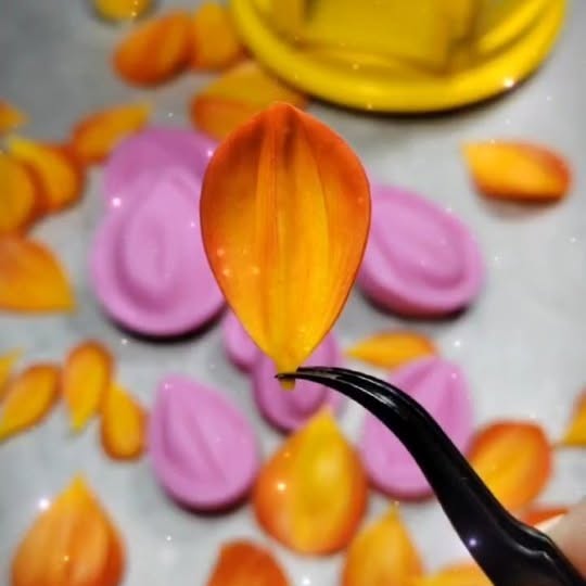 Post by bouquet_of_flowers_nm