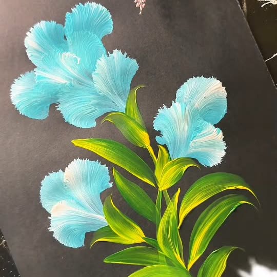 Post by colorcreators.art