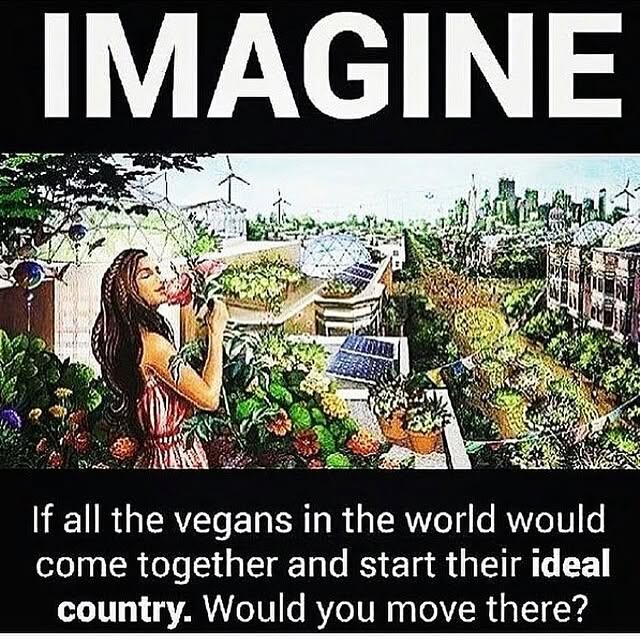 Post by rescuedogeso