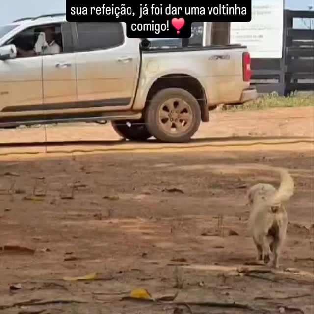 Post by zecadoagro