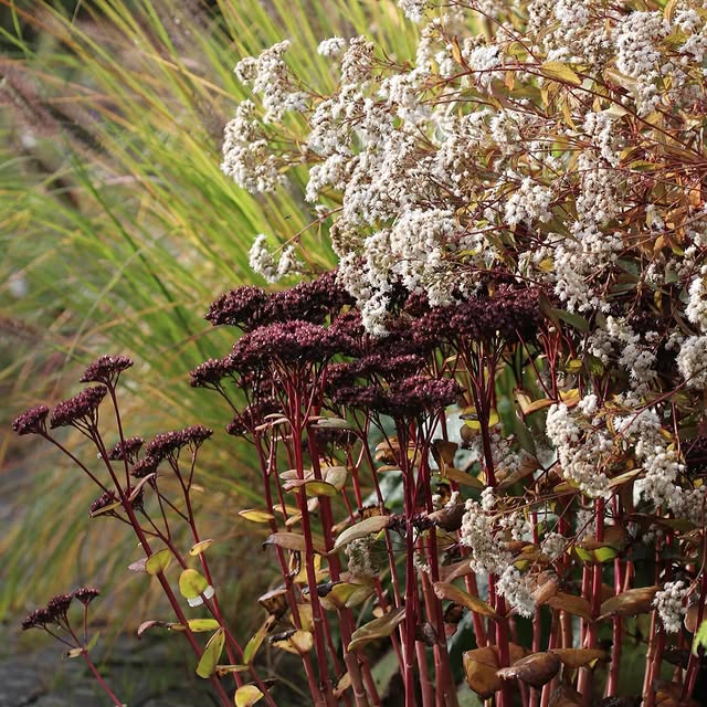 Post by katrins_garten