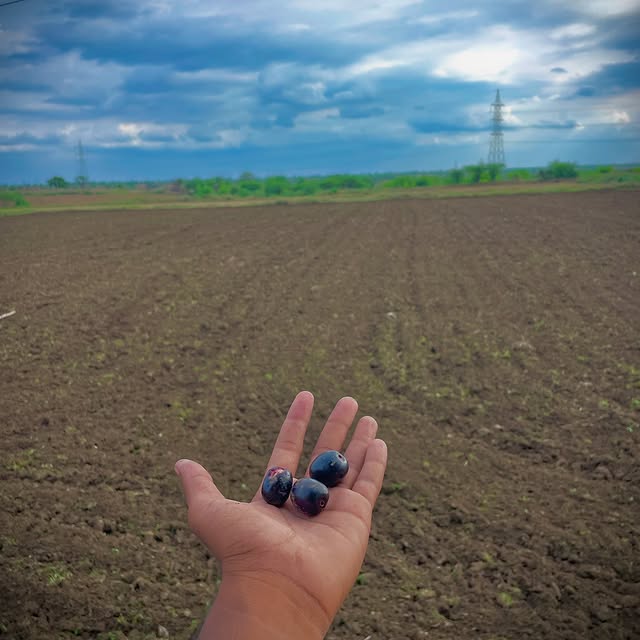 Post by pradeep_lifestyel