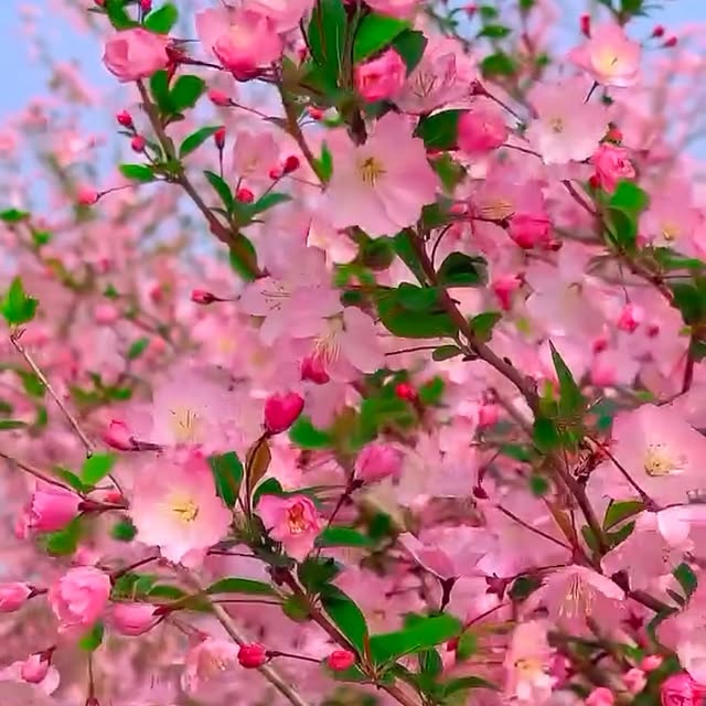 Post by garden_desiign