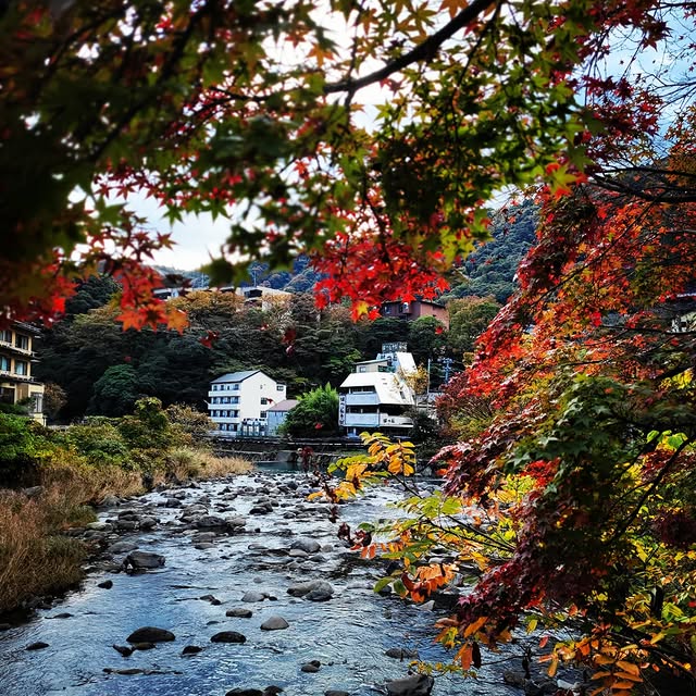 Post by shu_camp_log