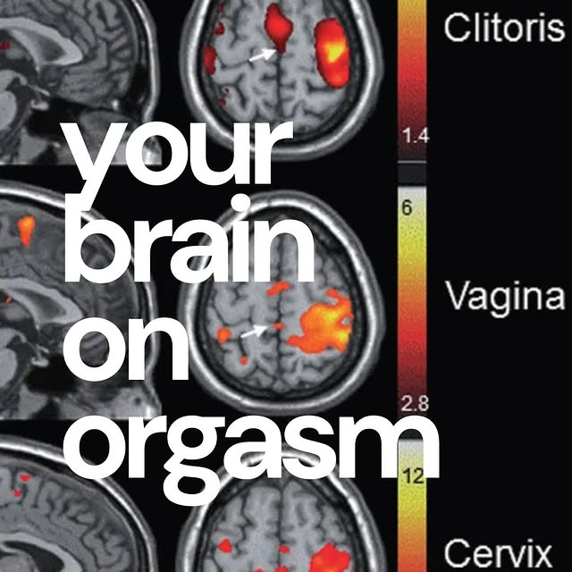 Post by thecyclebook