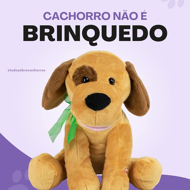 Post by tudosobrecachorros