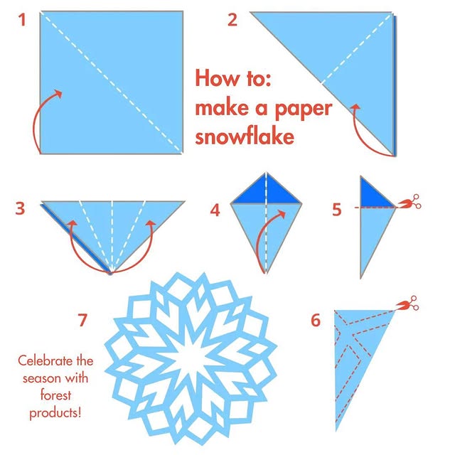 Post by stateforesters