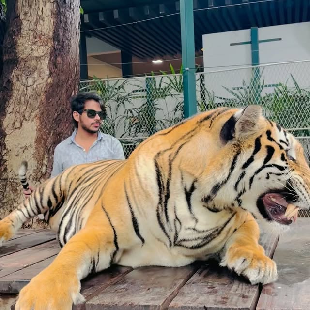 Post by mohammadarafat___