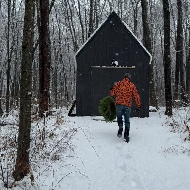 Post by laurelandashfarm