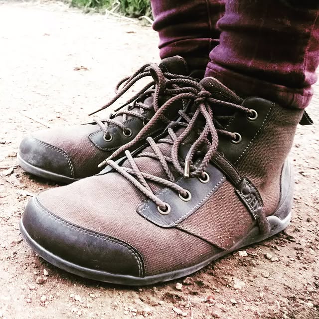 Post by creative_gardening_spain