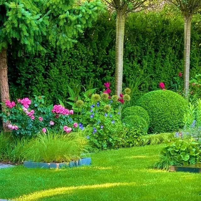 Post by _garden_plan