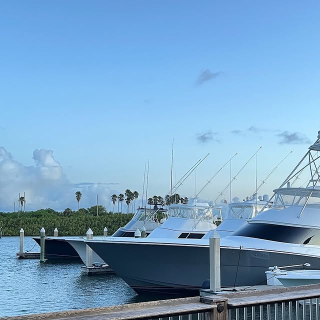 Post by juliettegaffney