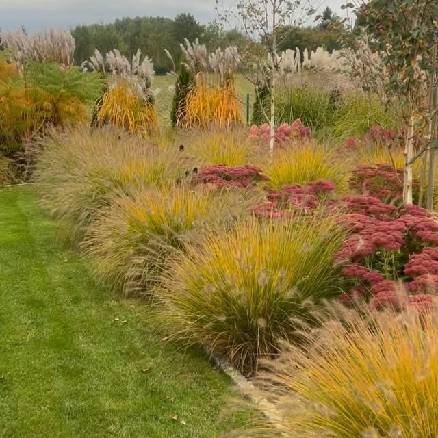 Post by szczypiorkatarzyna