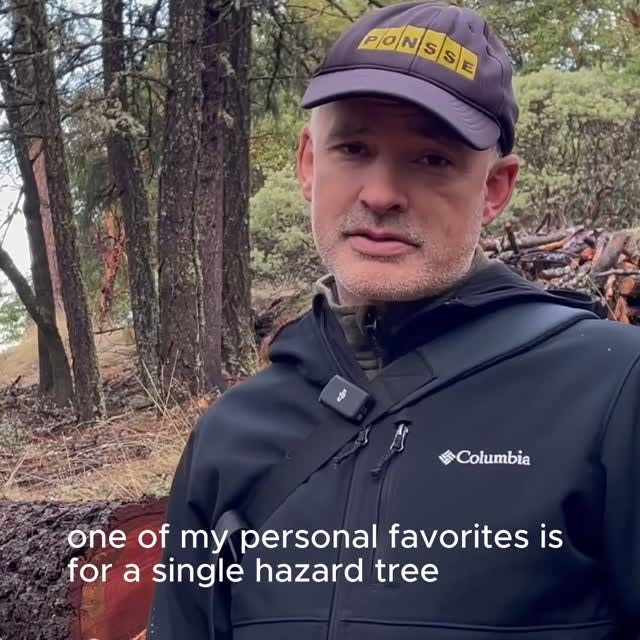 Post by thejosephpowell