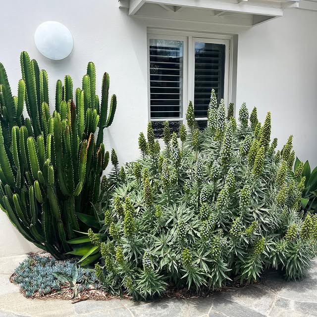 Post by bondilandscapes