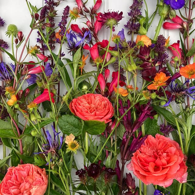 Post by katesinthegarden