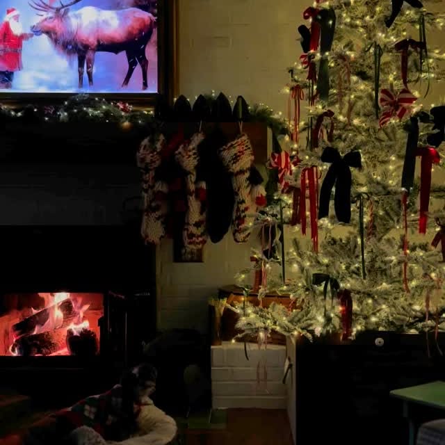 Post by 3acrehomestead