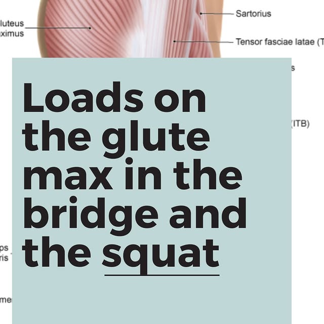 Post by anatomyofpilates