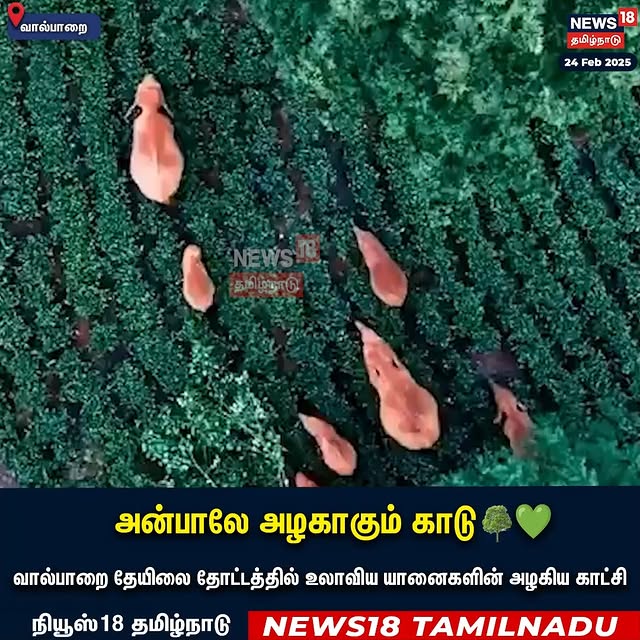 Post by news18tamilnadu