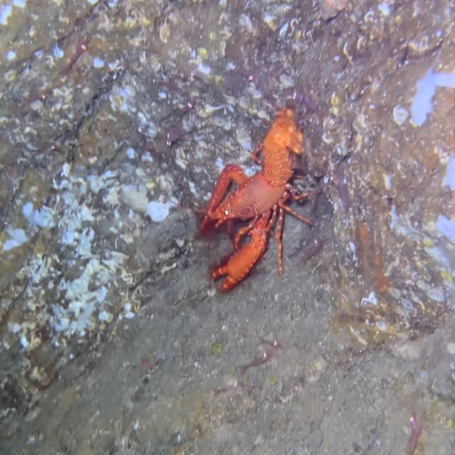 Post by travelfordiving