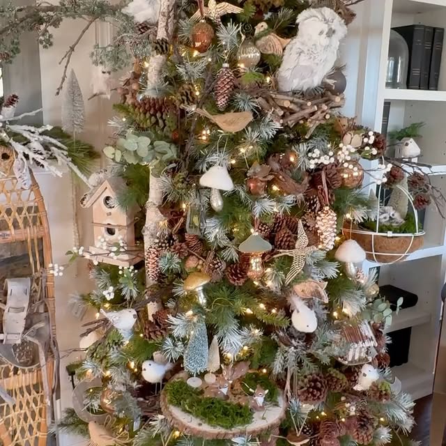 Post by old_castle_cottage