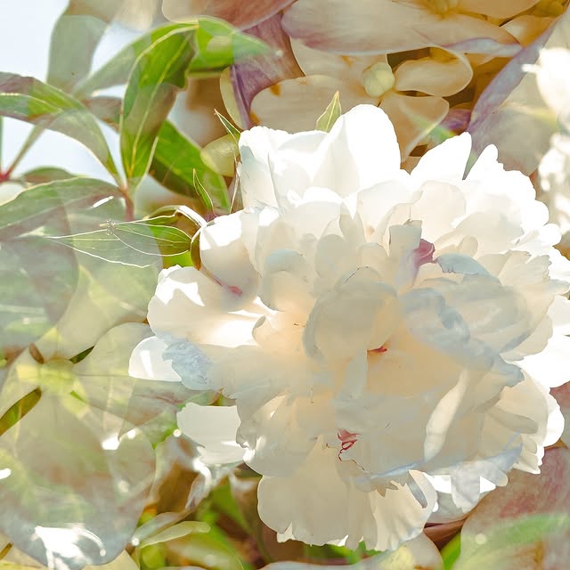 Post by hannnasofiaa