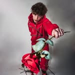 Marius J. Masson's profile picture